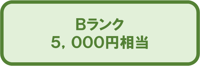 5,000円相当