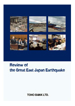Review of the Great East Japan Earthquake