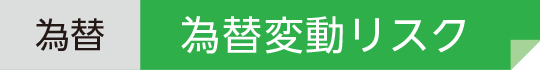 為替 為替変動リスク